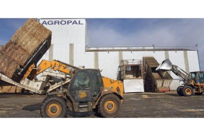 Varios trabajadores en las instalaciones de transformación de paja y alfalfa de la cooperativa Agropal, en la localidad palentina de Villoldo .-ICAL