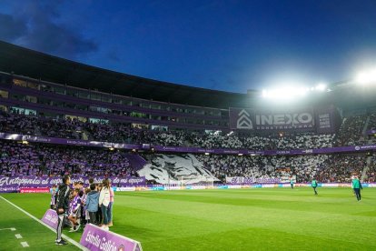 Fondo Norte de Zorrilla. EM