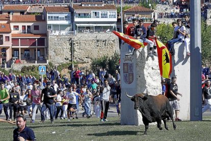 Jóvenes peñistas se apostan sobre los monolitos del recorrido del encierro.-J.M. LOSTAU