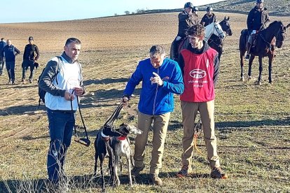 La galga 'Leyenda de Retumba' en la tercera jornada del Nacional de Galgos en Nava del Rey. -FEDERACIÓN ESPAÑOLA DE GALGOS