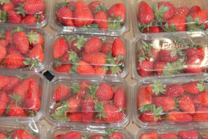 Fresas