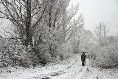 La Guardia Civil participa en la prestación de servicios de ayuda debido al temporal de nieve. / E.M.