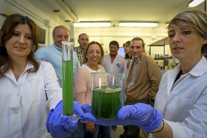 Investigadores del proyecto Purasol en las instalaciones de la Facultad de Ciencias de la Universidad de Valladolid.-MIGUEL ÁNGEL SANTOS / PHOTOGENIC