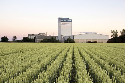 Una de las instalaciones de la cooperativa Agropal, junto a un campo de trigo. AGROPAL