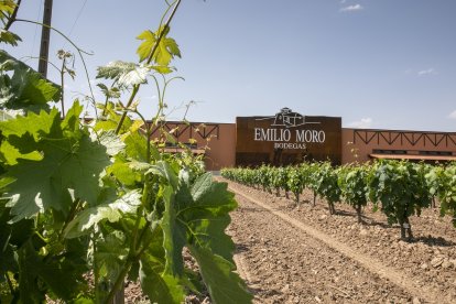 Instalaciones de bodegas Emilio Moro.- E. M.