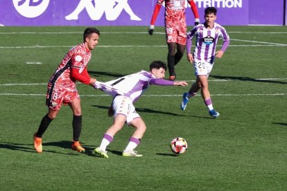 Partido entre el Real Valladolid Promesas y el Guijuelo. / Photogenic/Miguel Ángel Santos