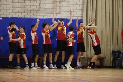 Los cadetes de Castilla y León celebran un gol.