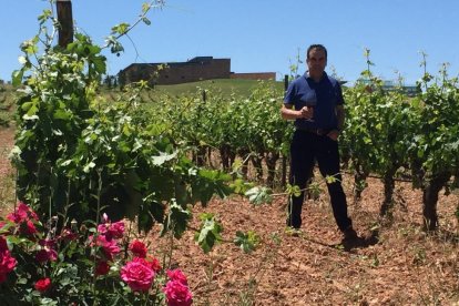 Abel Buezo en los viñedos de su finca ubicada en el municipio de Mahamud.-EL MUNDO