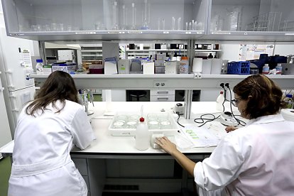 Dos investigadoras analizan muestras en el laboratorio del Instituto Tecnológico Agrario. Miriam Chacón / ICAL