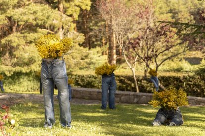 Decoración artística en Navarredonda de Gredos para el concurso floral que organiza el Festival del Piorno en Flor.- ASENORG-EDU HINOJAL FOTOGRAFÍA