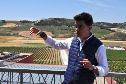 Pedro Ruiz Aragoneses, director de Pago de Carraovejas, explica el viñedo desde el mirador del pago de Cuesta las Liebres.-I. M.