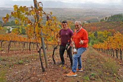 José Luis Prada Méndez y su hijo Manuel Prada Bonet, en el mismo escenario, separados por unos cuantos ciclos vegetativos en la viña de Canedo.