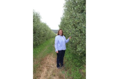 Ana Isabel Barbero en su olivar ubicado en el municipio vallisoletano de Tudela de Duero.-M. C.