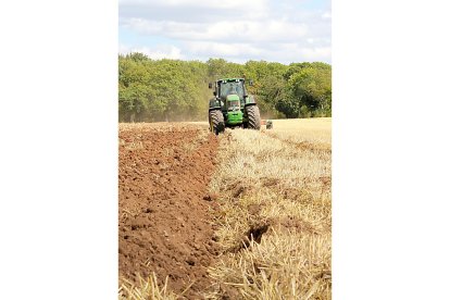 El arado o volteo de la tierra es la primera labor de la sementera. PQS / CCO