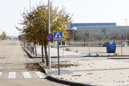 Una de las calles del plan parcial Industrial Jalón.- J.M. LOSTAU