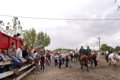 Encierro mixto en Tordesillas para sustituir al Toro de la Vega.- ICAL