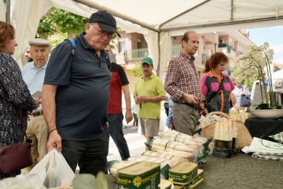 Feria del Espárrago celebrado en Tudela de Duero. PHOTOGENIC