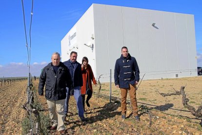 El equipo humano de la bodega, (de i. a d.) Teodoro, Juan Manuel, Saray y Roberto Recio, camina entre dos líneos. Abajo, depósitos de elaboración.-M. T.