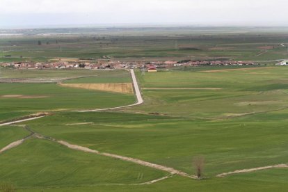 Campos de cereal en la provincia de Palencia.-BRÁGIMO