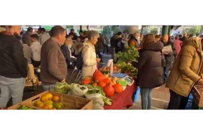 La Plaza España de Valladolid acogió el domingo 13 de noviembre un nuevo mercadillo ecológico en el que se tomó como protagonista a la calabaza