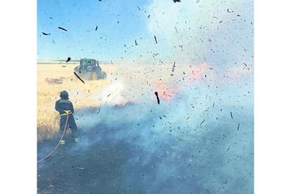 Un bombero ataja el fuego para que no se propague por un campo de cereal cercano.-BOMBEROS DE LA DIPUTACIÓN DE VALLADOLID