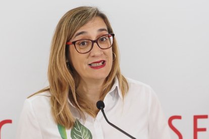 Rocío Anguita, en una imagen de archivo.- ICAL