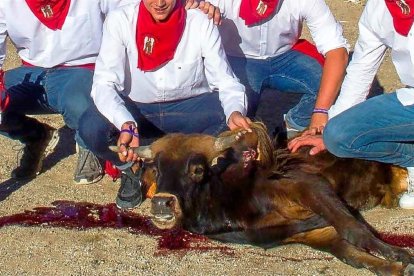 Imagen facilitada por PACMA que correspondería a una becerrada en San Rafael.-PACMA