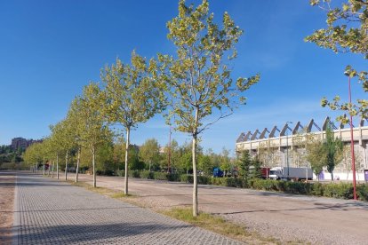 Sistemas de drenaje sostenible en el entorno del Estadio José Zorrilla. -AYUNTAMIENTO