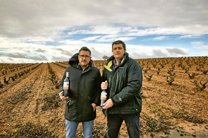 En la imagen, Juan Esteban (i) responsable de las labores de campo y su hermano Ricardo (d), encargado se supervisar la bodega, con el vino elegido por la publicación americana como el mejor por menos de 50$. Un equipo que completan con su hermana Esther, al frente del laboratorio.  / E.M.