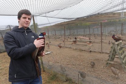 Jaime Amo en la granja de Santoyo donde se crían los faisanes en semi libertad.-BRÁGIMO