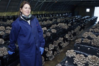 Asun Martínez, en una de las naves de Cemichamp. / HDS