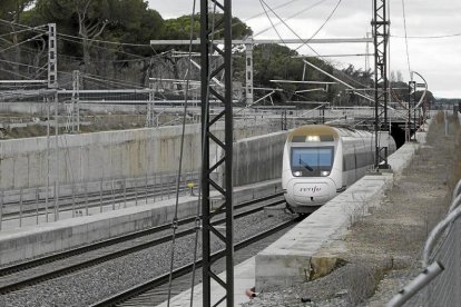 Un tren pasa por el túnel del pinar de Antequera en dirección a Valladolid. -J.M. LOSTAU