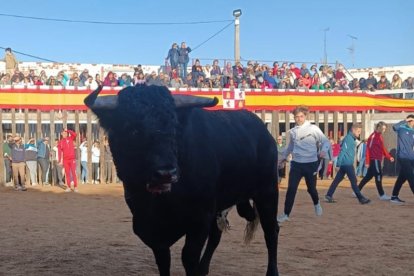 Plaza de toros de Traspinedo. E.M.