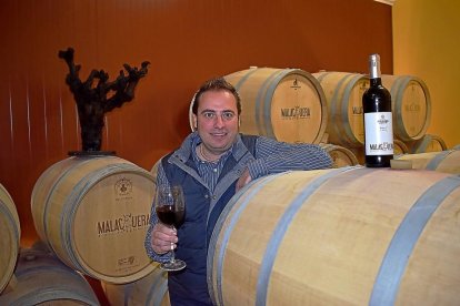 Carlos Rodríguez, en la pequeña nave de barricas de la bodega, donde se envejecen los tintos Malacuera.-ARGICOMUNICACIÓN