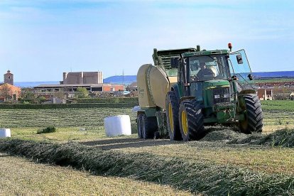 Un agricultor maneja su tractor durante el empacado de trigo verde destinado a forraje en Fuentes de Valdepero (Palencia).-BRÁGIMO