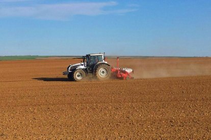 Un trabajador realiza labores de siembra de girasol con su tractor en una campaña atípica debido a las lluvias.-E. M.