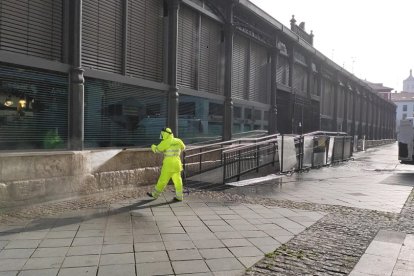 Desinfección del Mercado del Val.-