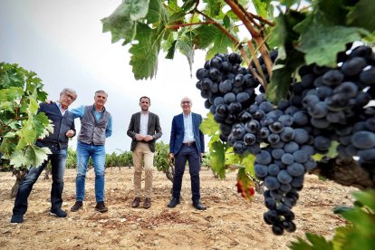 Inauguración de las nuevas instalaciones de Bodega Tresmano. - ICAL
