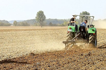 Trabajar en compañía es una de las medidas más efectivas contra los golpes de calor en el campo. PQS / CCO