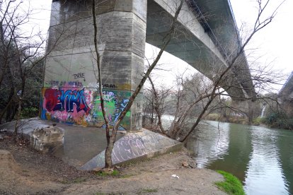 Lugar donde fue localizado el cuerpo sin vida de una persona en la orilla del Pisuerga en Valladolid. ICAL