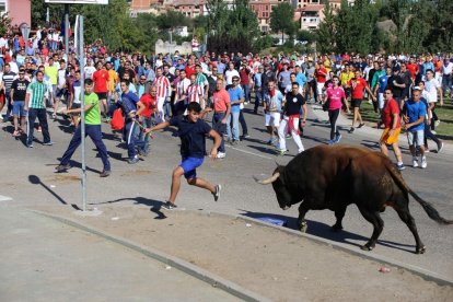 Encierro del Toro de la Vega.-ICAL