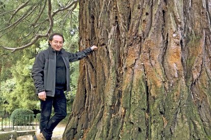 Raúl Hernández, apoyado en la gran secuoya de El Bosque de Béjar./ ArgiComunicación