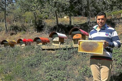 Adrián Rodríguez, joven natural de Morgovejo (León), con sus colmenas.-EL MUNDO