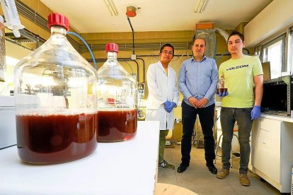 Equipo de investigadores, encabezado por Raúl Muñoz (centro), en el edificio IndUVa, el aulario de la Escuela de Ingenierías Industriales de la UVA.-MIGUEL ÁNGEL SANTOS / PHOTOGENIC