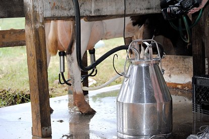 Máquina de ordeño en una explotación de vacuno- PQS / CCO