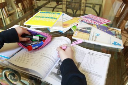 Una escolar con los libros de texto y los cuadernos del colegio en el salón de su casa-J.M.Lostau