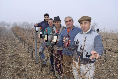 De atrás hacia adelante, Pablo y Honorato Calleja; José María Rey; Luis Ángel Soladana y Vicente Lorente, en un viñedo del Valle del Esgueva.-ARGICOMUNICACIÓN