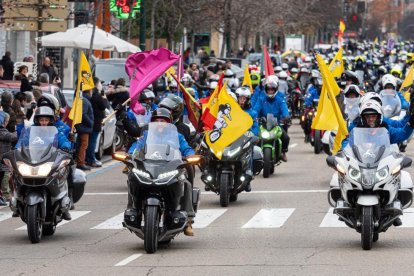 Participantes en el desfile de banderas de Pingüinos 2024 por las calles de Valladolid. -PHOTOGENIC