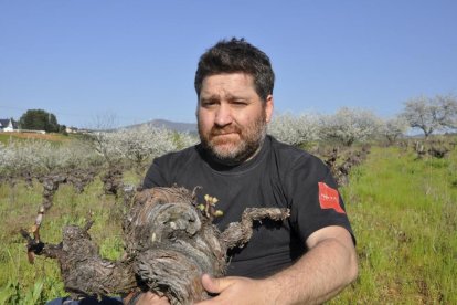 El bodeguero berciano Raúl Pérez. -EL MUNDO