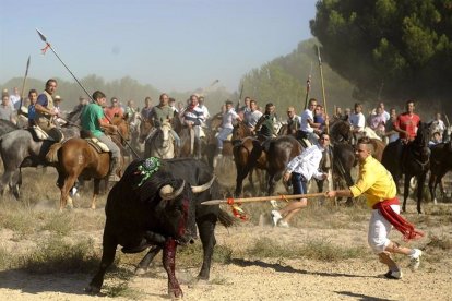 Celebración del Toro de la Vega. Imagen de archivo. - EP